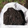 Compost Orgánico Prosan: Beneficios, Cómo Hacerlo y Dónde Comprar en Concepción
