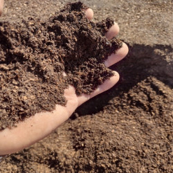 Tierra de Hoja Compostada