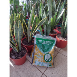 Tierra de Hoja Compostada Prosan 2 Lts.