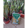 Tierra de Hoja Compostada Prosan 2 Lts.