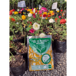 Tierra de Hoja Compostada Prosan 2 Lts.
