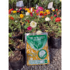 Tierra de Hoja Compostada Prosan 2 Lts.