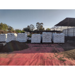 Compost Orgánico Prosan: Beneficios, Cómo Hacerlo y Dónde Comprar en Concepción