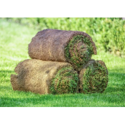 🌱 ¡Pasto  Natural en Rollo Premium  Superpolo 1m² en Concepción! 🌱