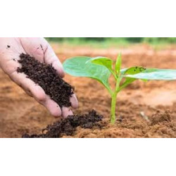 Enmienda y mejora de suelos - compost y tierra vegetal
