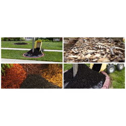 ???? Pack “Jardín Full Invierno”