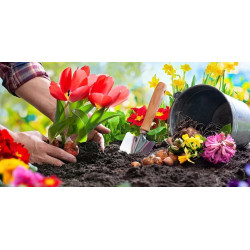 ???? Pack “Prepara tu Jardín”