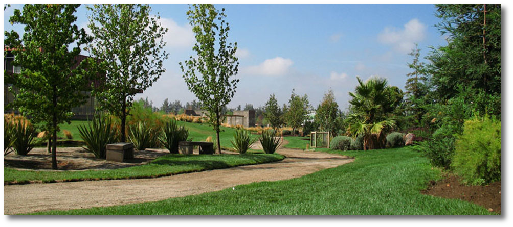 mantencion%20de%20jardines.png