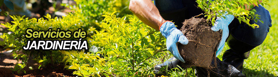 personal-jardineria.jpg