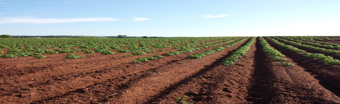 Tierra Vegetal Agrícola