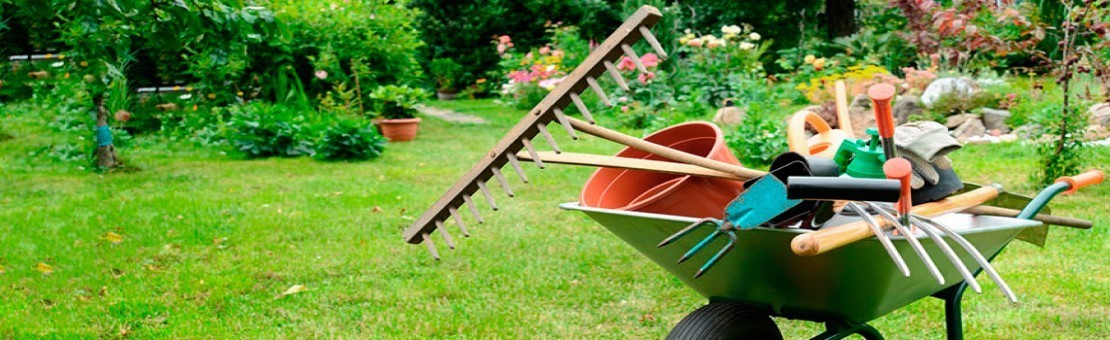 Lo que necesitas para tu jardín 